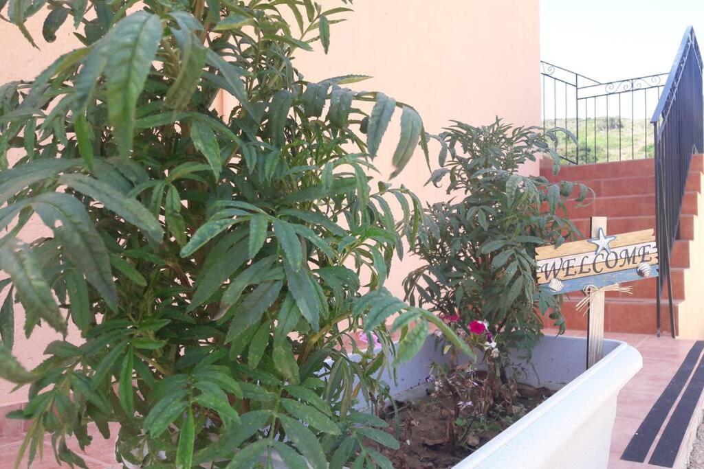 Rodanthy III Katelios Exterior photo